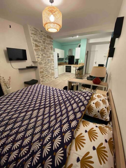Charmant Studio Idealement Place Et Paisible ! Oloron-Sainte-Marie Exterior photo